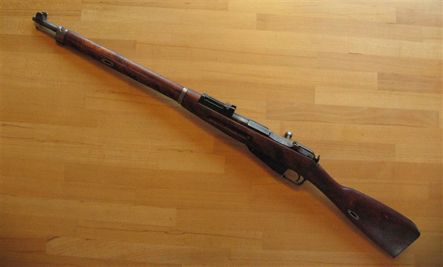 pystykorva_m28-30_3741.jpg