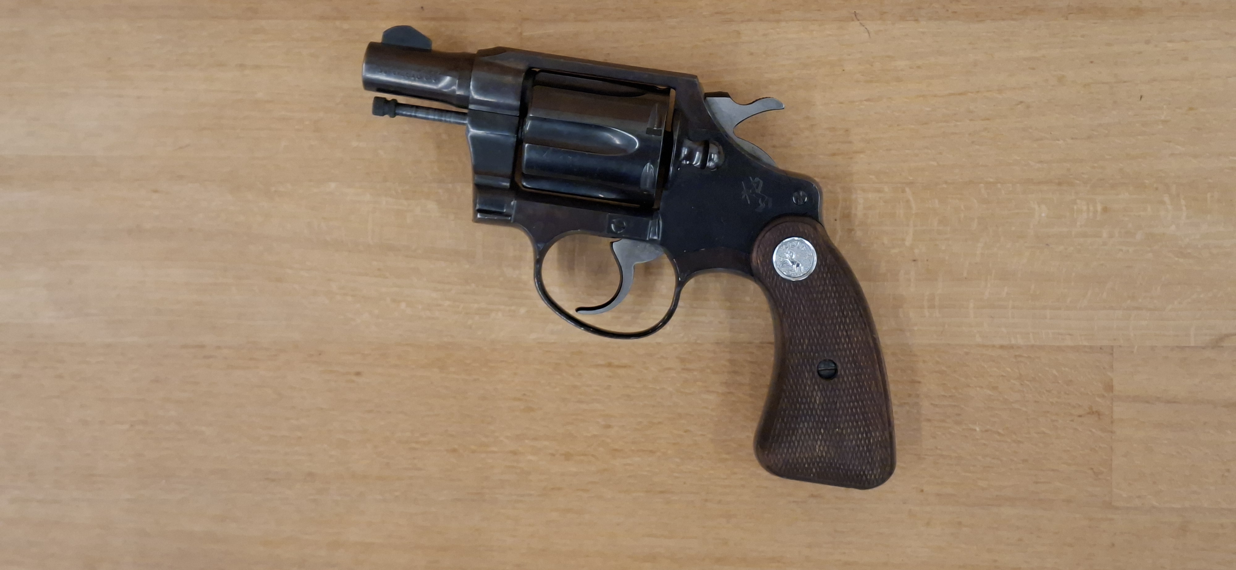Colt_184127.jpg